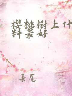樱桃树上什么肥料最好
