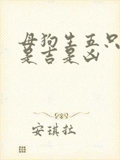 母狗生五只小狗是吉是凶