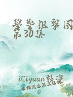 学警狙击国语版第30集