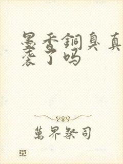 墨香铜臭真的抄袭了吗