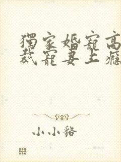 独家婚宠高冷总裁宠妻上瘾