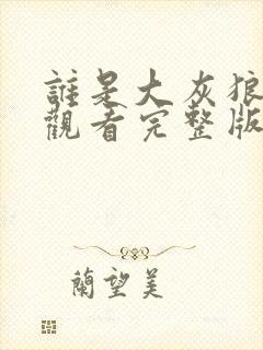 谁是大灰狼免费观看完整版在线全集