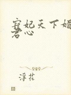 宠妃天下媚色惑君心
