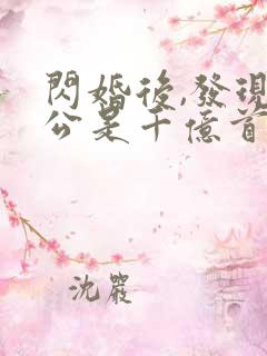 闪婚后,发现老公是千亿首富阅读全文