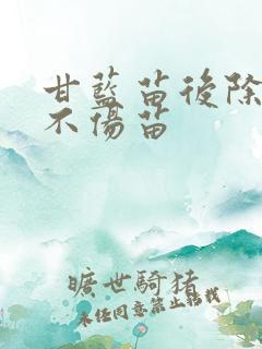 甘蓝苗后除草剂不伤苗