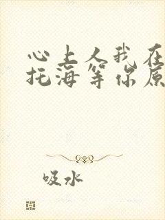 心上人我在可可托海等你原唱