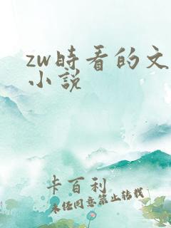 zw时看的文案小说