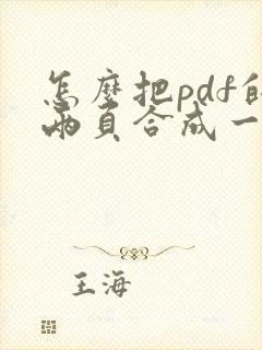 怎么把pdf的两页合成一页
