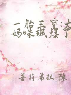 一胎三宝:大佬妈咪飒爆了