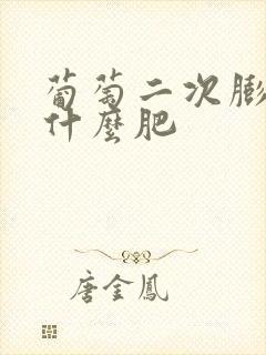 葡萄二次膨大用什么肥