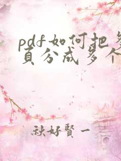 pdf如何把多页分成多个文件