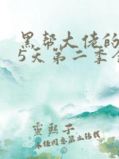 黑帮大佬的365天第二季全集