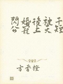 闪婚后被千亿老公宠上天短剧完整版在线观看