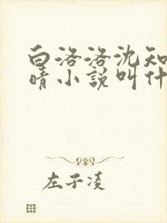 白洛洛沈知景夏晴小说叫什么名字来着