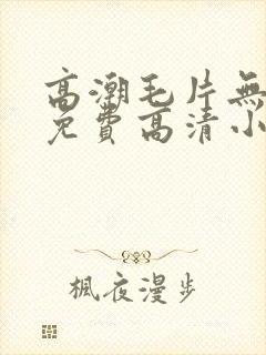高潮毛片无遮挡免费高清小说