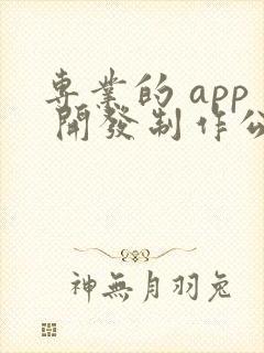 专业的 app 开发制作公司