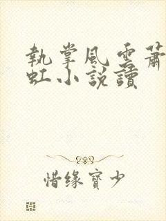 执掌风云萧峥陈虹小说读