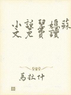 小说儿媳苏玥全文免费读