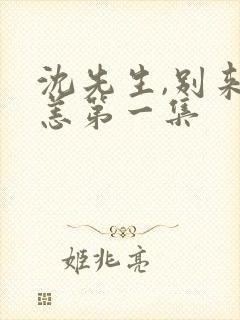 沈先生,别来无恙第一集