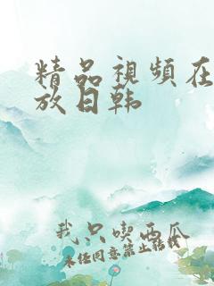 精品视频在线播放日韩
