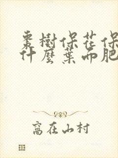 枣树保花保果用什么叶面肥