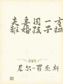 夫妻因一方出轨离婚孩子抚养权怎么判定