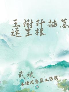 玉树扦插怎样快速生根