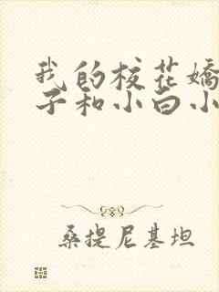 我的校花娇妻叶子和小白小说