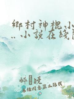 乡村神棍小村... 小说在线阅读