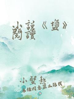 小说《盐》在线阅读
