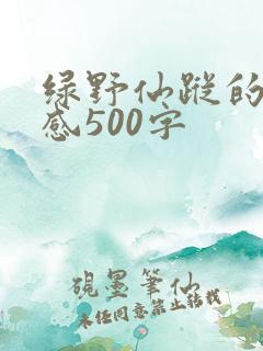 绿野仙踪的读后感500字