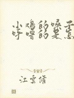 小鸡的嗓子呼噜呼噜的是怎么回事
