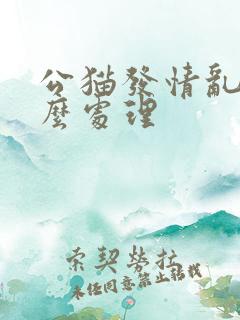 公猫发情乱尿怎么处理