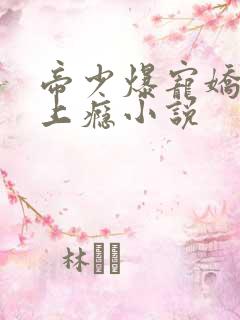 帝少爆宠娇妻霸上瘾小说