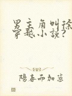 男主角叫徐锐的穿越小说?