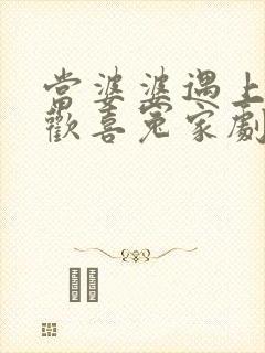 当婆婆遇上妈之欢喜冤家剧情简介