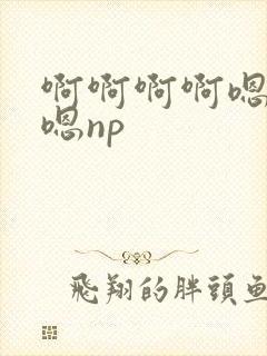 啊啊啊啊嗯嗯嗯嗯np