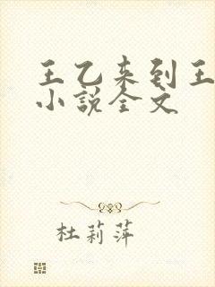 王乙来到王申家小说全文
