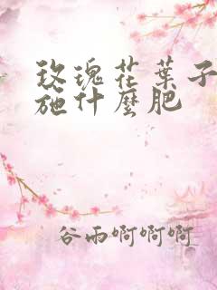玫瑰花叶子黄该施什么肥