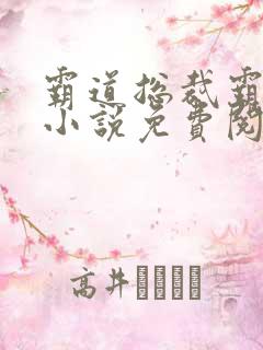 霸道总裁霸道爱小说免费阅读