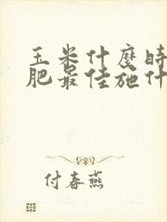 玉米什么时候施肥最佳施什么肥最好