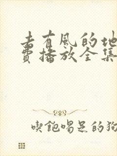 去有风的地方免费播放全集