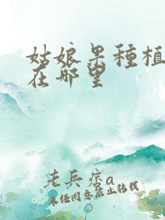 姑娘果种植基地在哪里