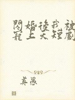 闪婚后我被总裁宠上天短剧免费