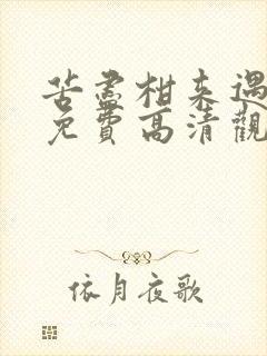 苦尽柑来遇见你免费高清观看