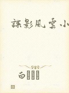 谍影风云小说看