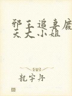 邪王追妻废材逆天大小姐