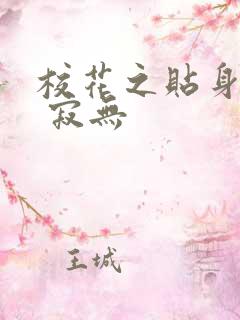 校花之贴身高手 寂无