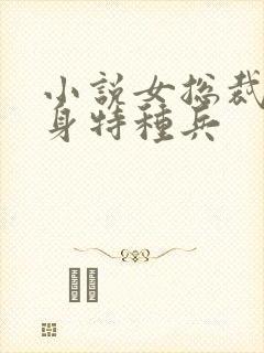 小说女总裁的贴身特种兵