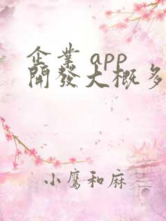 企业 app 开发大概多少钱